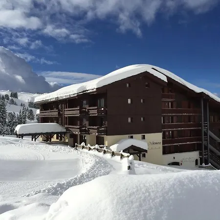 Les Etoiles De Le Quartz *